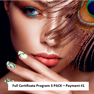 TAOND Full Certificate 3 PACK - Payment #1 -intro