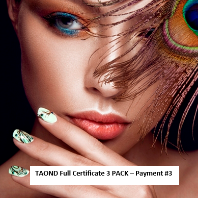 TAOND Full Certificate 3 PACK - Payment #3 - intro